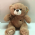 Urso de Pelcia 30cm - und